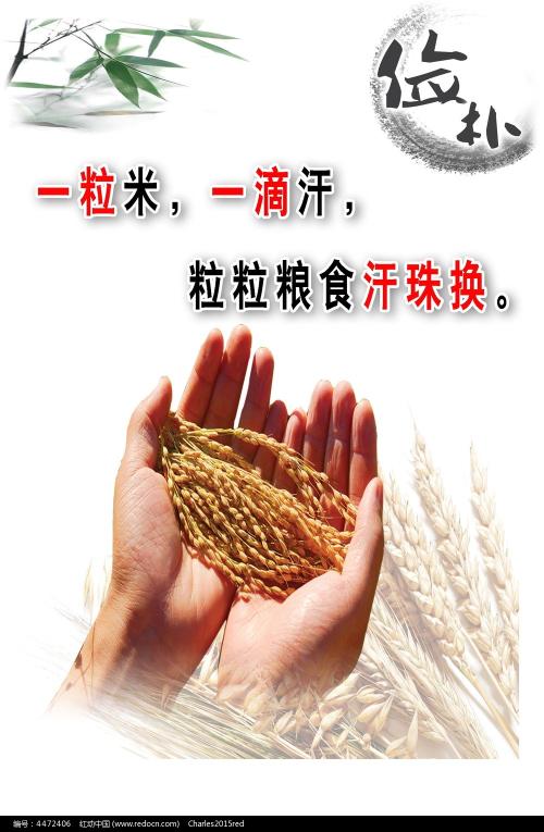 大阪女子学院大学Computer Science Diploma